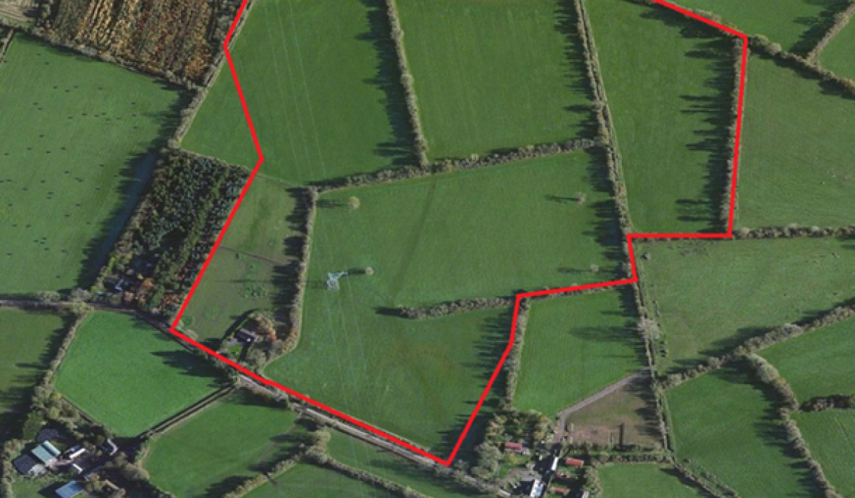 45 acres of prime land goes up for sale in Offaly Offaly Live