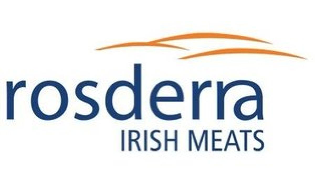 Offaly meat factory staying open despite four positive Covid19 cases