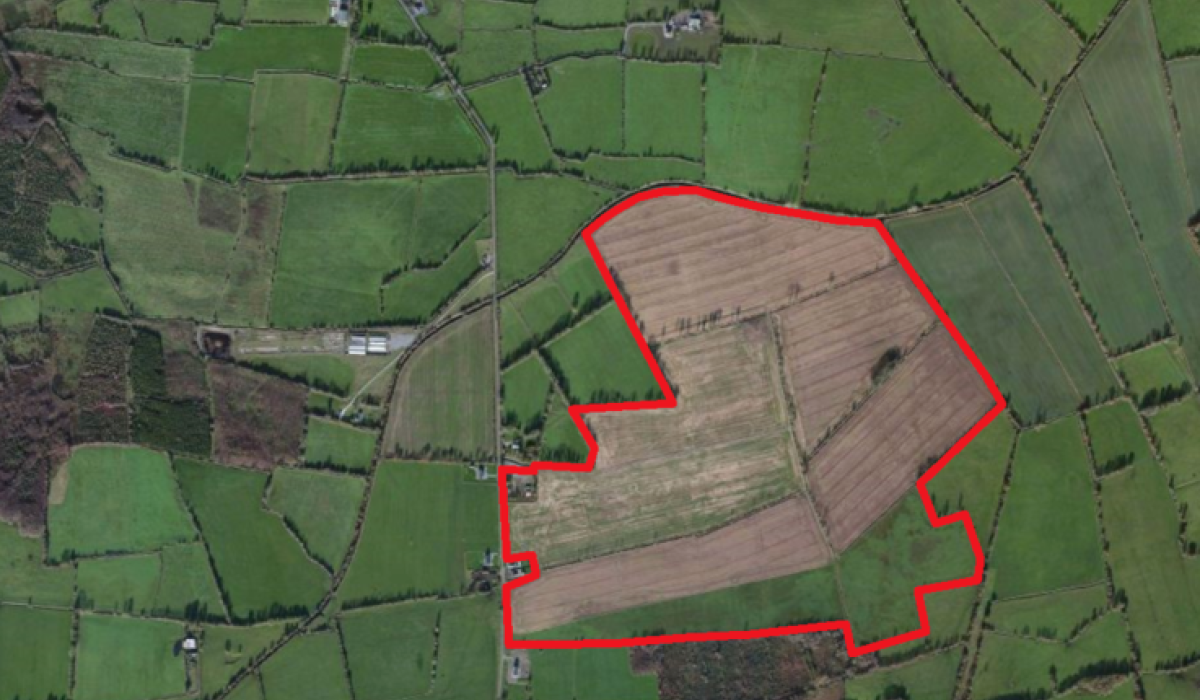 190 acres of Offaly land for sale for €1.4 million Offaly Live