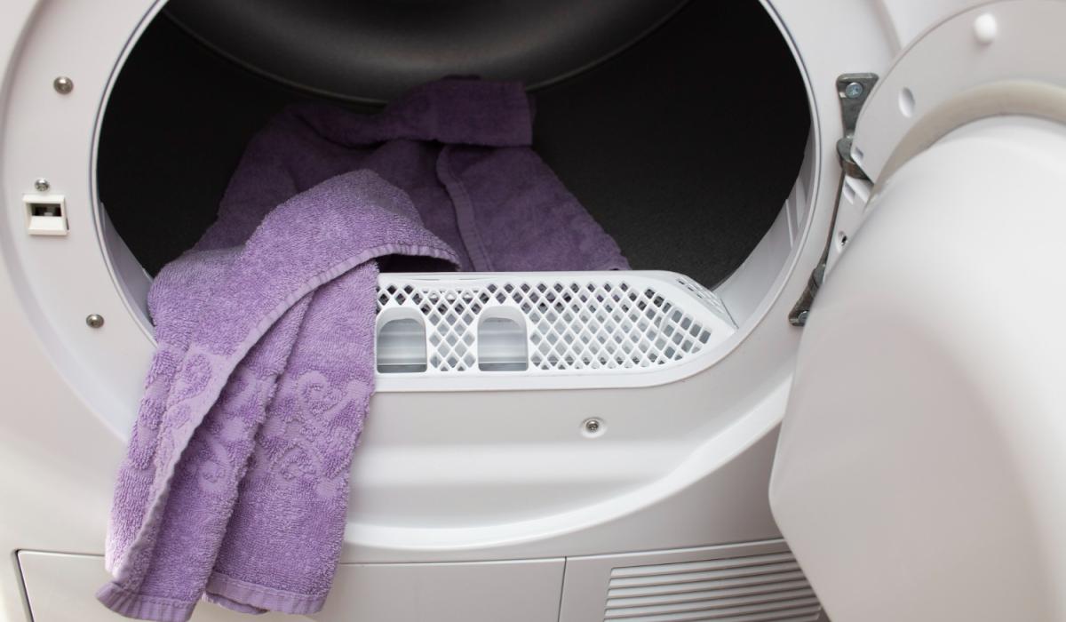 REVEALED The two most expensive appliances to run in your home and