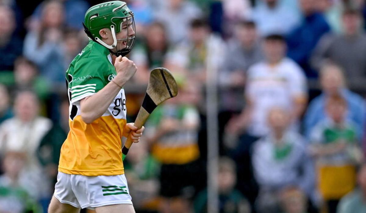 WATCH: Adam Screeney's superb goal that proved crucial for Offaly in ...