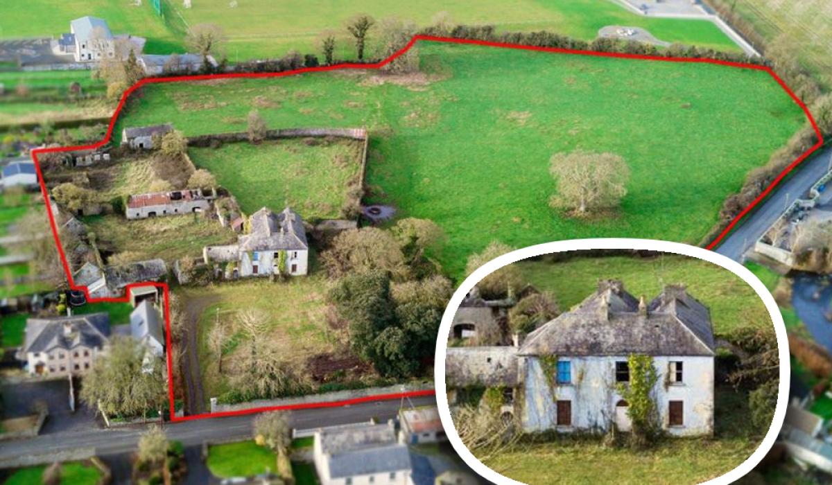 PROPERTY 'Iconic' Offaly property with plenty of land on sale for just