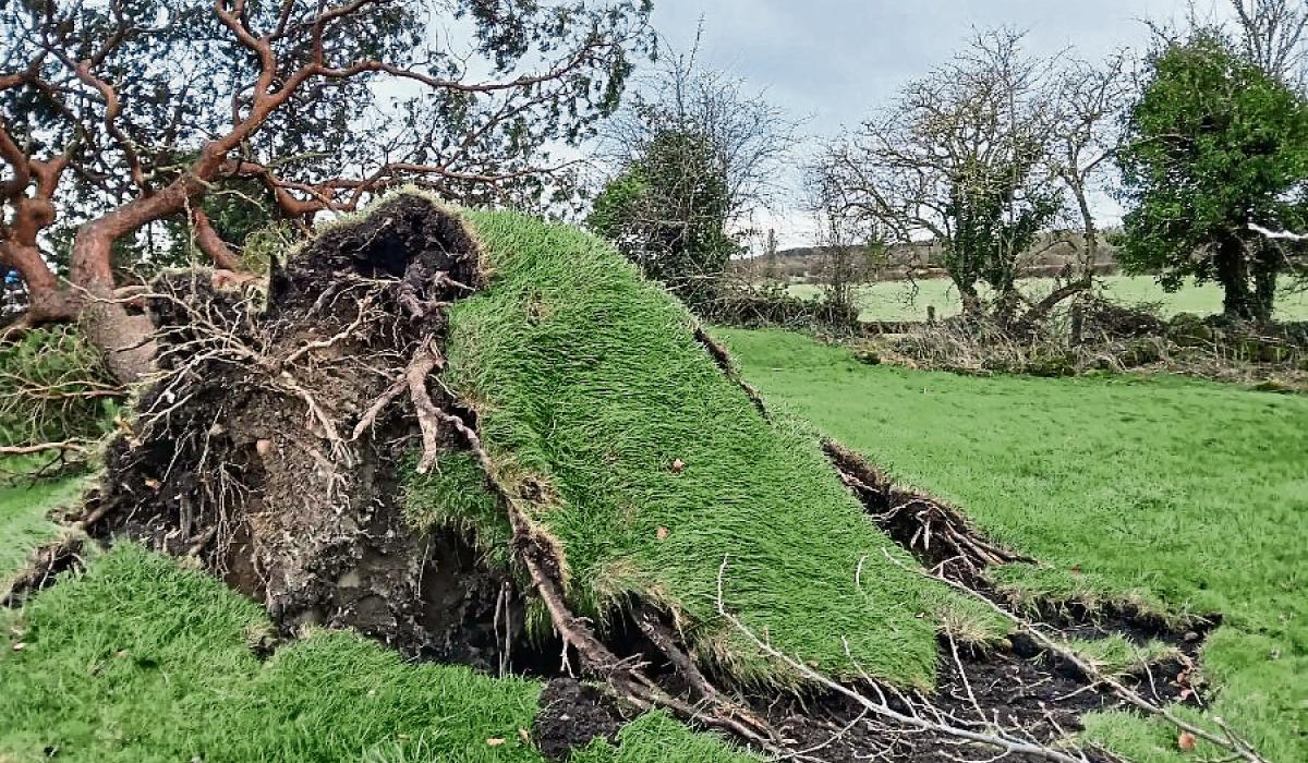 Human bones dramatically revealed in Offaly during  storm