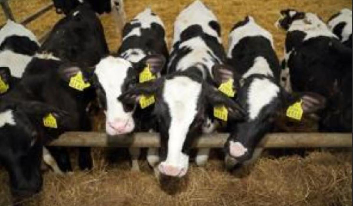 Over €50m allocated to farmers in Offaly throughout 2025