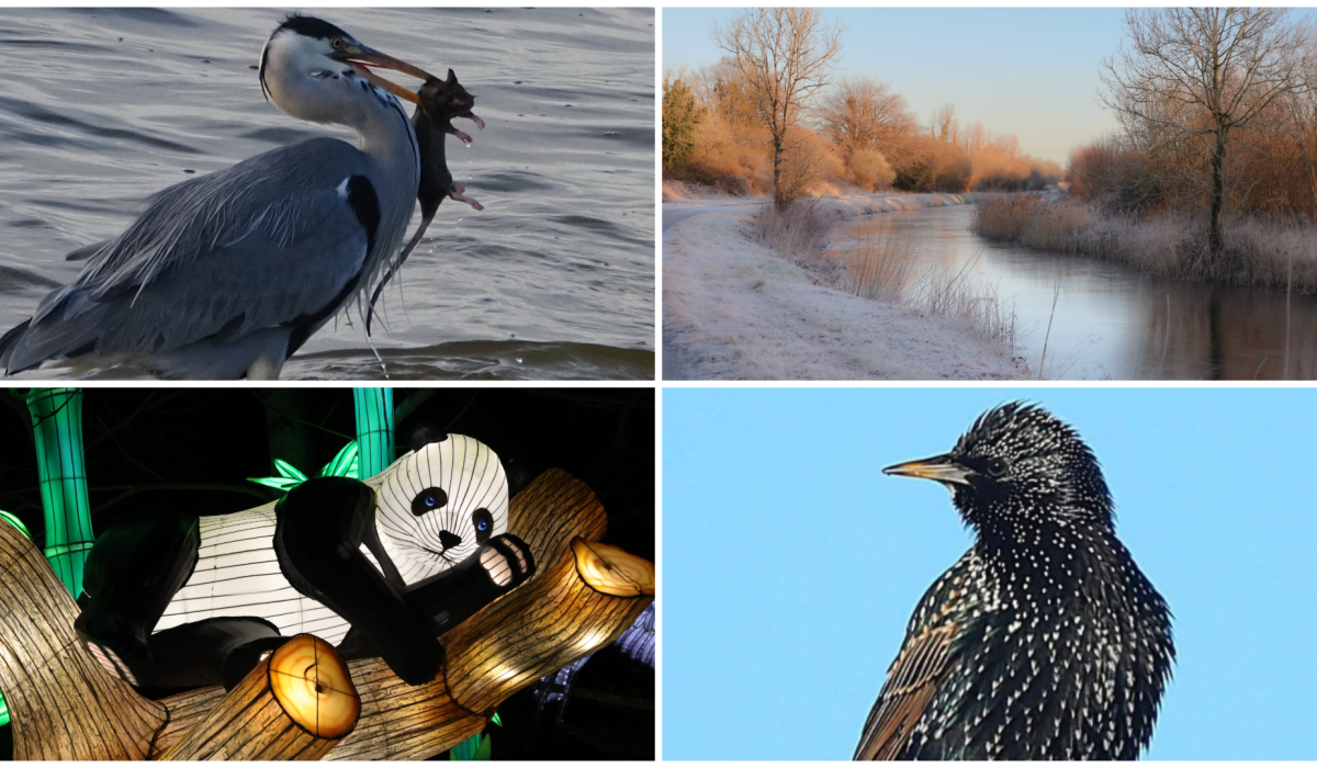 PICTURES: Tullamore Camera Club members capture new collection of breathtaking photos