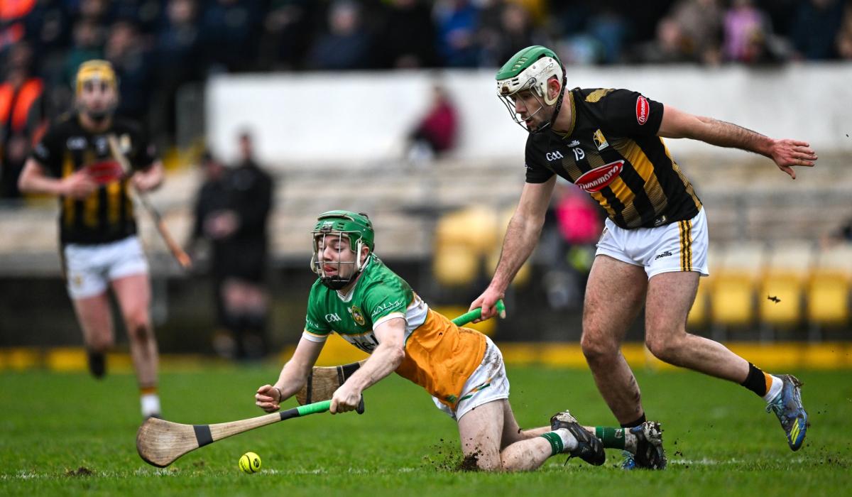 Offaly hurlers searching for more green shoots against All-Ireland champions