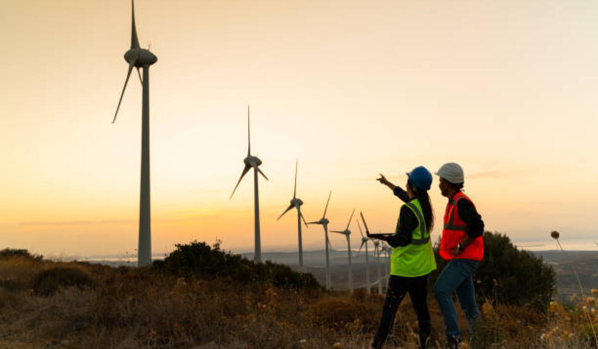 THE LONG READ: Supreme Court wind farm decision will have implications for Offaly developments