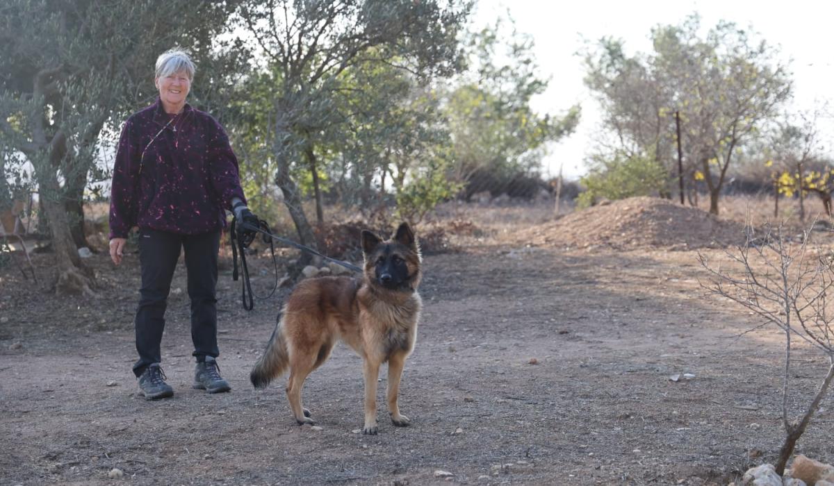 THE LONG RREAD: Tullamore's Mieke gets first hand experience of Palestinian people's plight