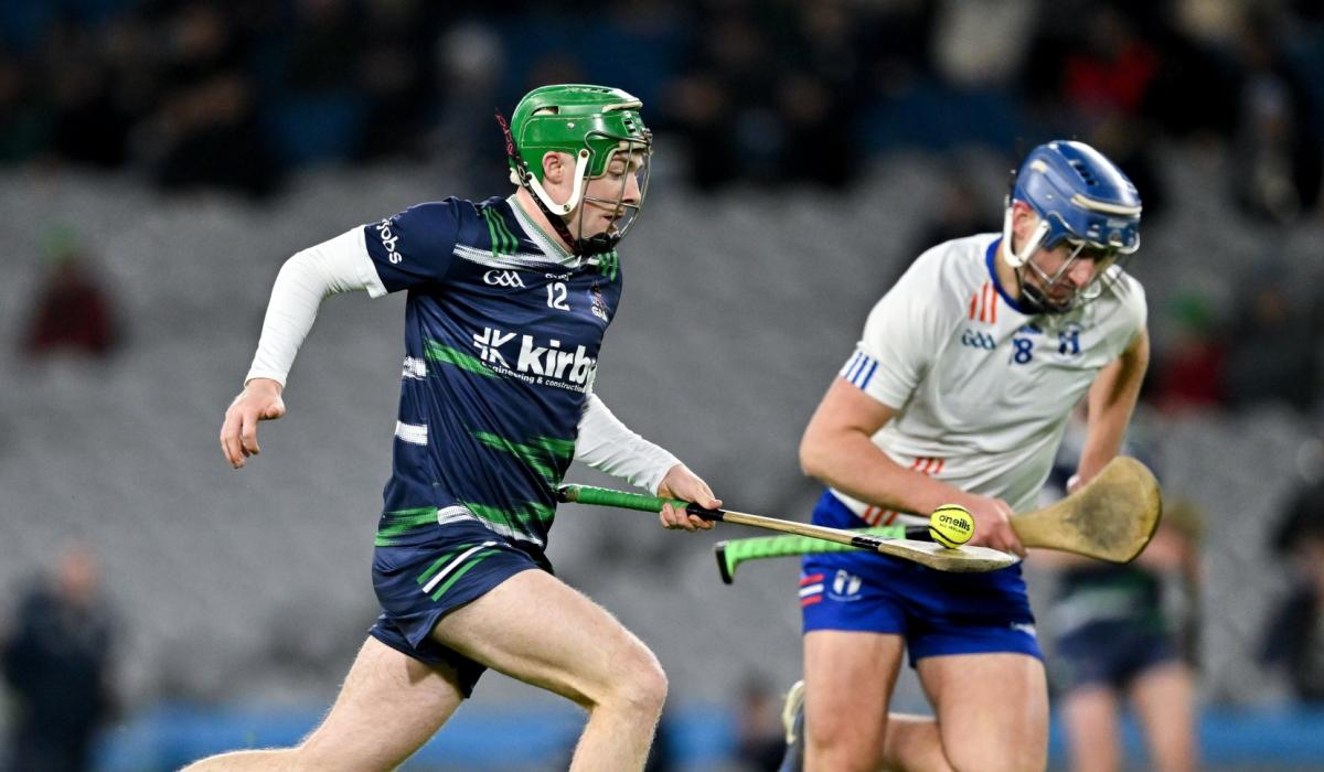 Offaly hurlers named on higher education team of the year