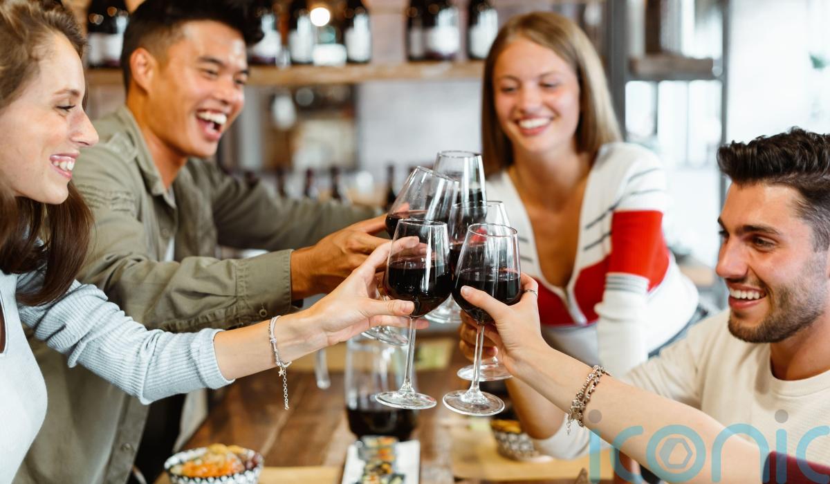 What does being drunk actually do to your body? Offaly Live