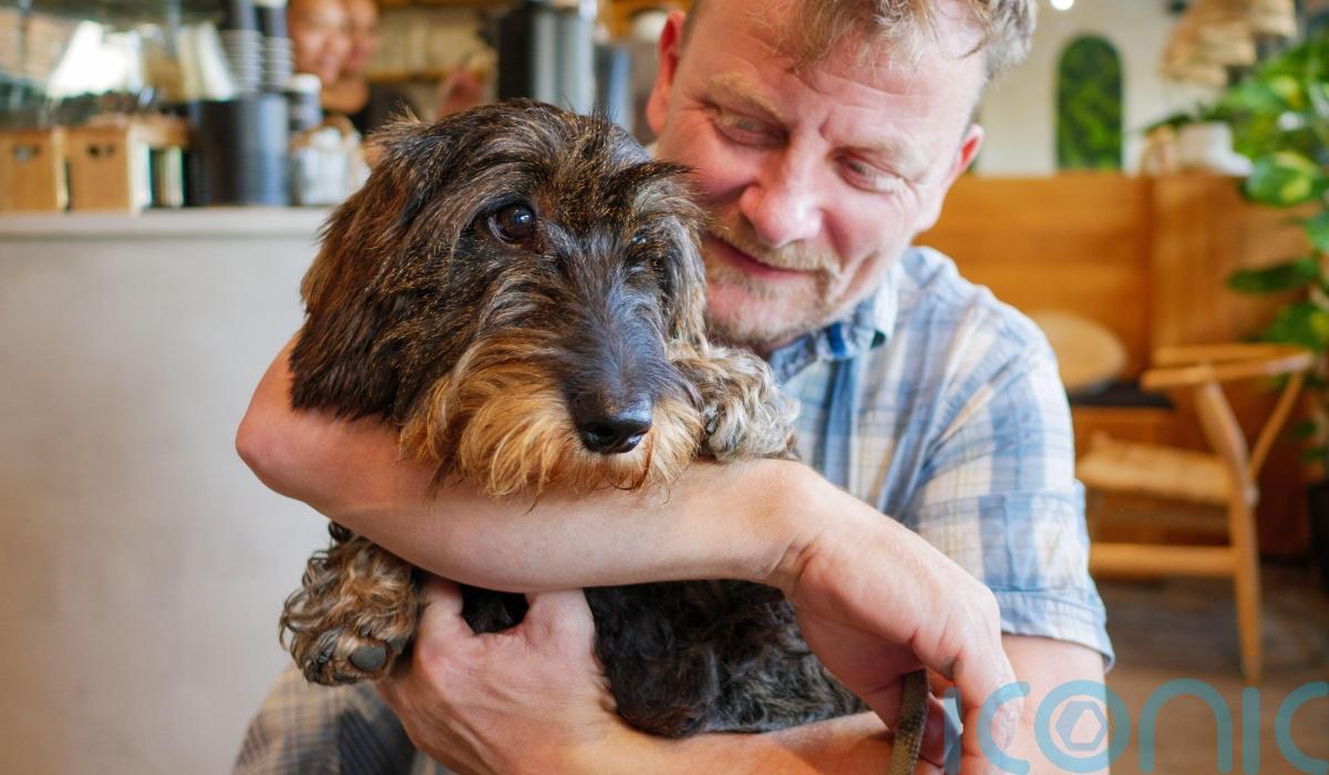 Dog thefts on the rise how to prevent your pooch being pinched