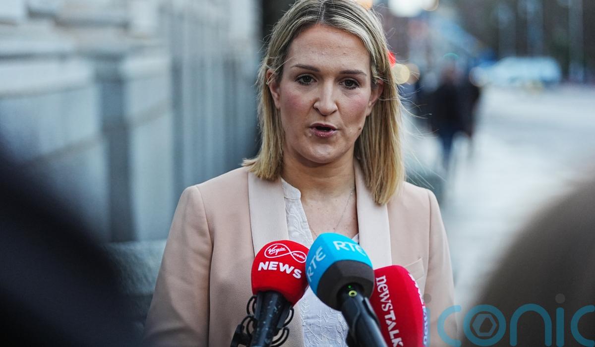 Government aware of ‘very small number’ of Irish nationals detained by Ice in US