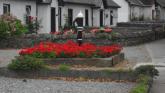 Three Gold Medals and big awards for Offaly as Tidy Towns results announced