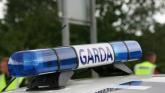 Jewellery and cash stolen in Banagher and Shinrone burglaries