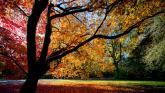 Discover the beauty of autumn on Orange Hill with Roscrea Trailblazers