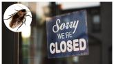 Cockroaches and rodent droppings result in Closure Orders being served on food businesses