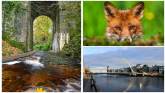 IN PICTURES: The spectacular photos that won Tullamore Camera Club's monthly competition