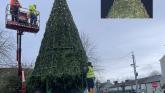 Outrage as Laois town's Christmas tree scaled at night