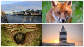PICTURES: The latest eye-catching photos captured by members of Tullamore Camera Club