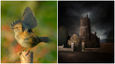PICTURES: The spectacular photos that won Tullamore Camera Club's monthly competition