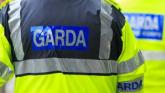 Garda appeal after collision