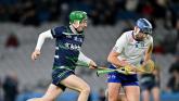 Offaly hurlers named on higher education team of the year