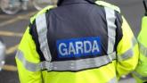 Laois Offaly Garda&iacute; investigate theft of distinctive boat