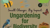 Offaly Climate and Biodiversity Action Group to hold first gardening themed presentation