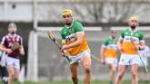 No surprises on Offaly hurling team as key players return to subs bench