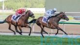 Fairy Glen strikes for the Crisfords in Dubai Gold Cup