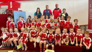 Large Offaly GAA club planning towards 2030