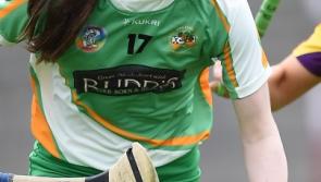 Kilcormac Killoughey Camogie Notes (November 23)
