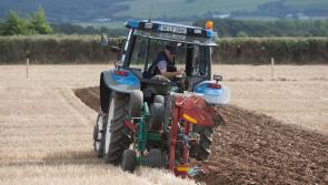 National Ploughing Championships sign off on internet deal