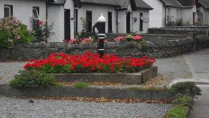 Offaly environmental projects receive funding boost
