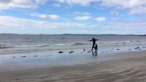 To Walk With the Beasts and the Babies. Living in the Present