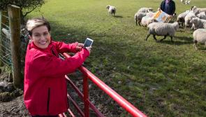 Tullamore experienced massive data jump during this year’s Ploughing Championship