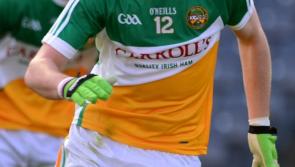 Offaly to face the Dubs in O'Byrne Cup 