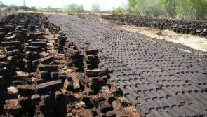 Man released from prison agrees not to interfere with protected Midlands bog