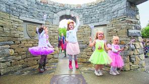Kilcormac receives almost €50,000 in funding under REDZ initiative