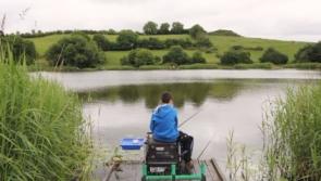 Inland Fisheries Ireland to provide over €1m for new river conservation projects