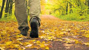 Irish Cancer Society calls for increase in exercise to help reduce cancer risk