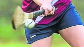 All the weekend's Offaly Camogie Results