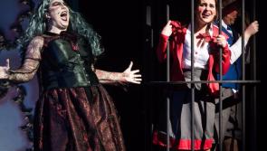 The PwC Players Return to Birr with Another Fantastic Panto this April 