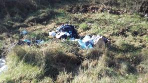 Judge says country 'destroyed' by 'disgusting' litter  during prosecution of Portarlington resident