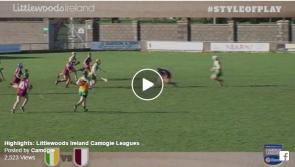 VIDEO: Highlights of Offaly and Galway in Littlewoods Ireland Camogie League Division 1