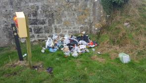 Blatant case of illegal dumping discovered in Offaly