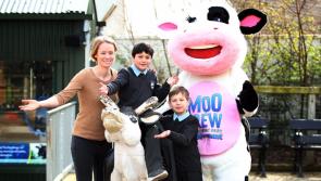 Offaly schools urged to sign up for Moo Crew Primary School campaign 