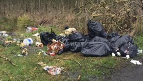 Outrage as 18 bags of rubbish dumped near home of resident in Edenderry 