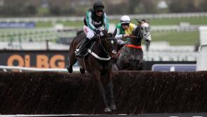 Midlands-bred racehorse breaks world record at Sandown