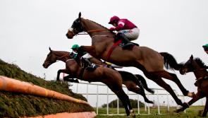 THE PUNTER'S EYE: Cheltenham Day 3 Preview 